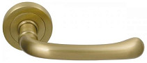 Фото «M.B.C. Beta»